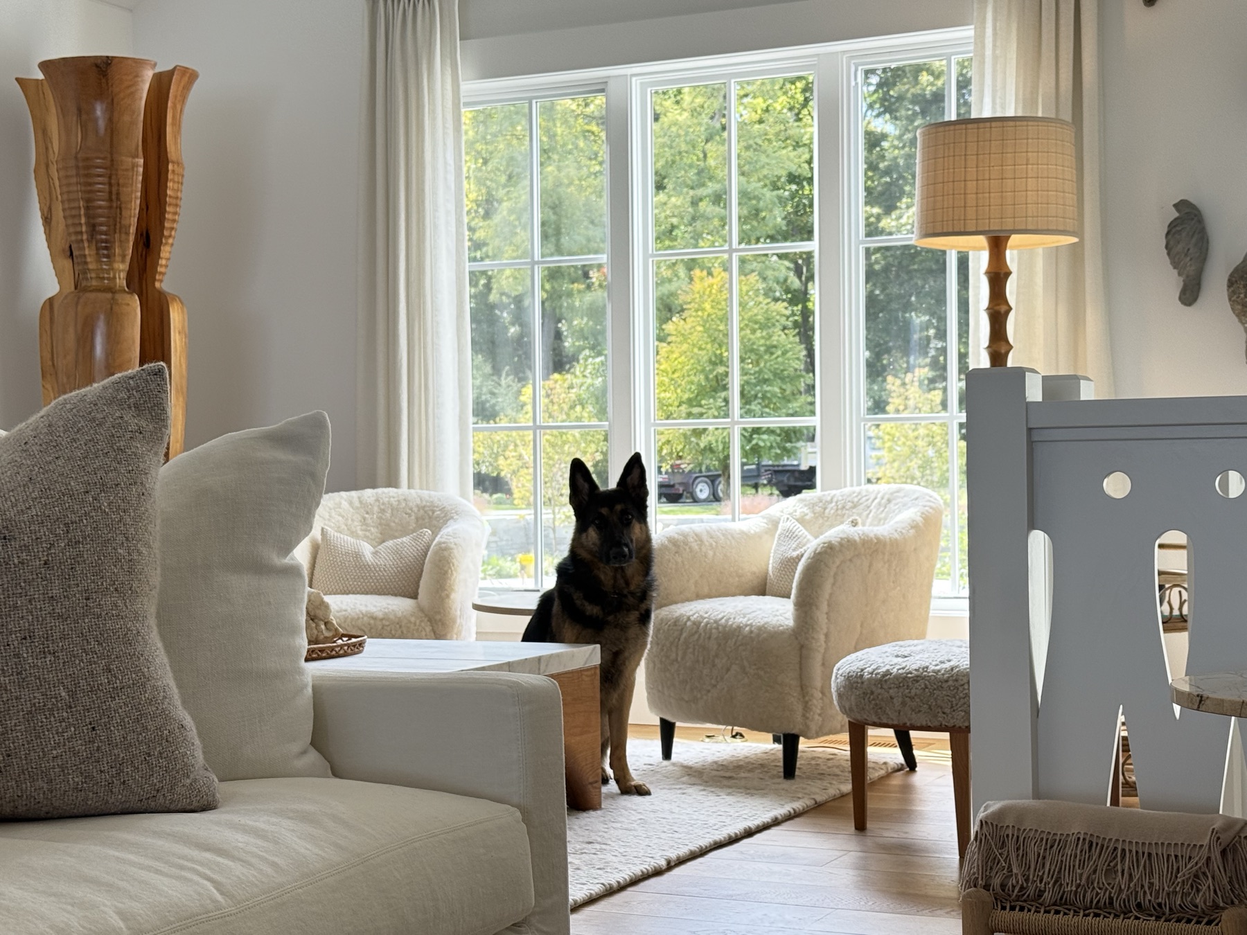 Family pet in a private residence